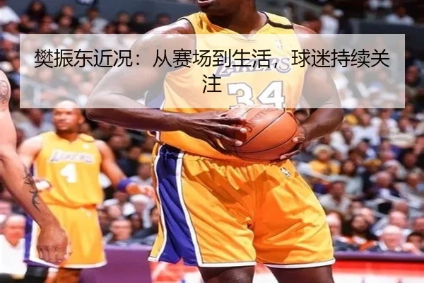 樊振东近况：从赛场到生活，球迷持续关注